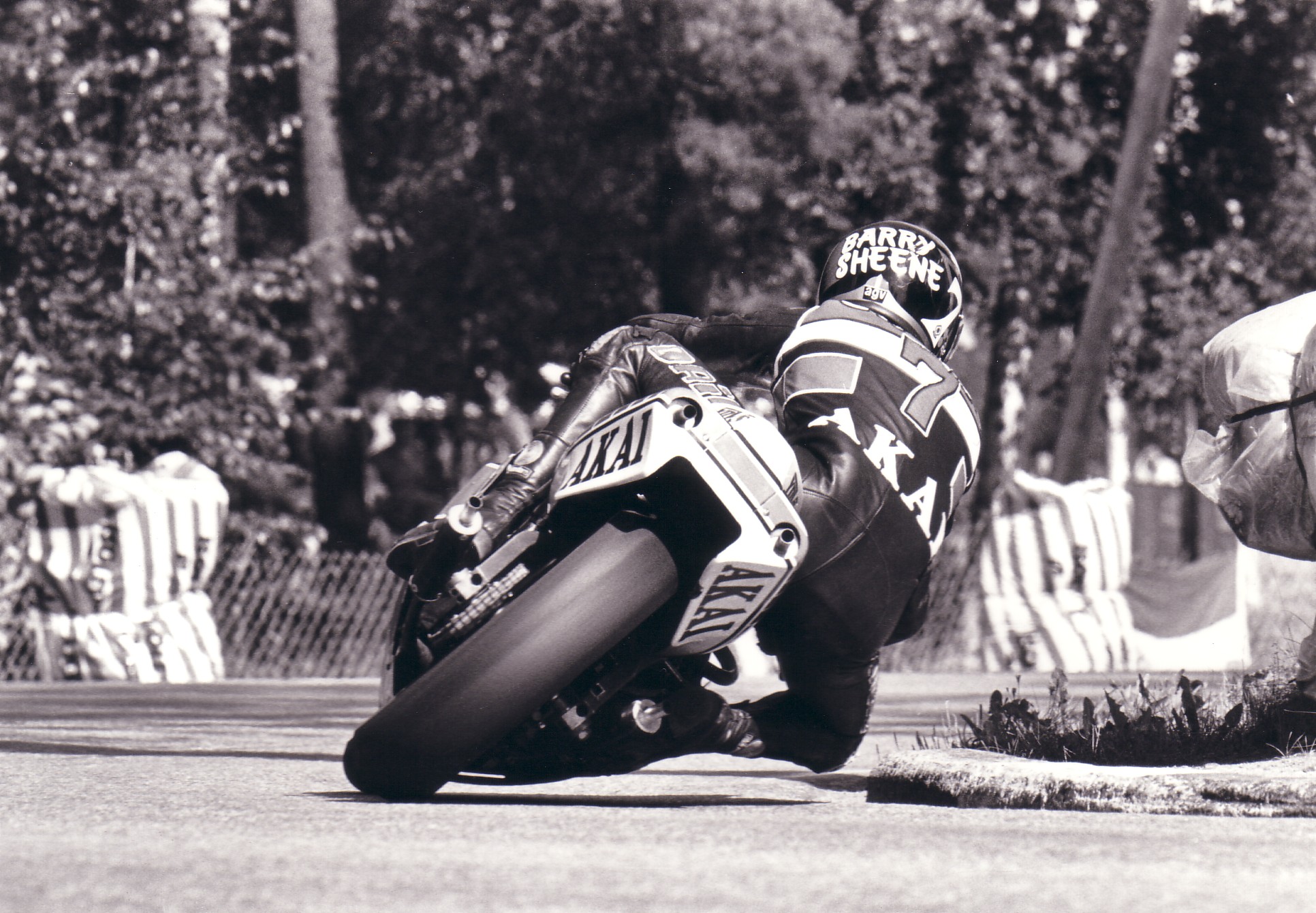 sheene 7