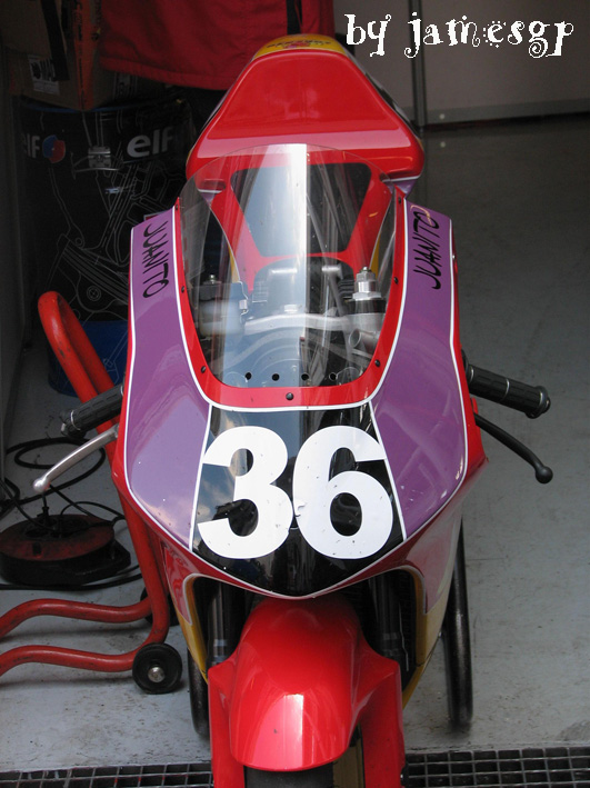 CEV Cat 2008