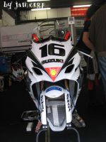 CEV Cat 2008