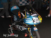 CEV Cat 2008