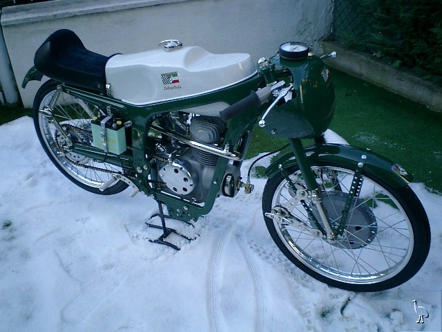 Capriolo_Speciale_Corsa